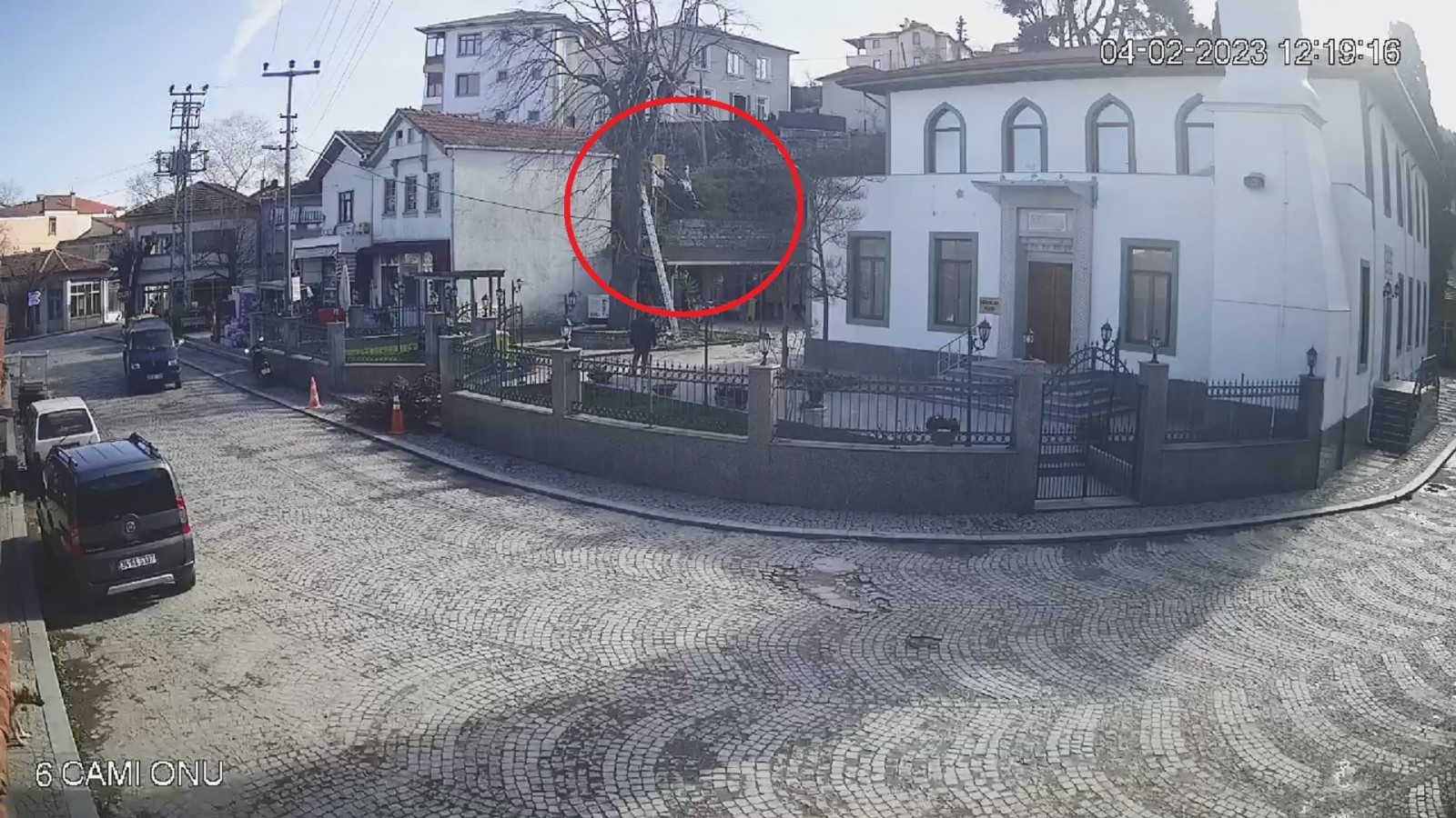 Kestiği ağaçtan düşerek hayatını kaybetti;
