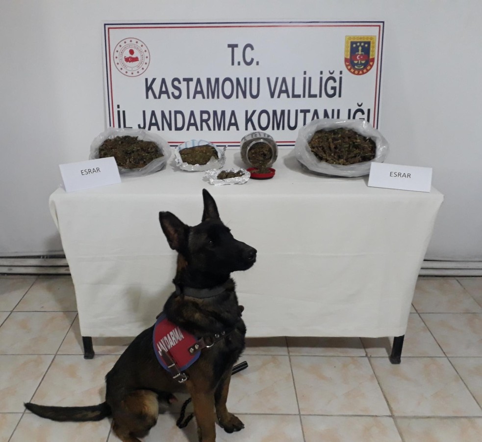 Evinde esrarla yakalanan şüpheli tutuklandı;