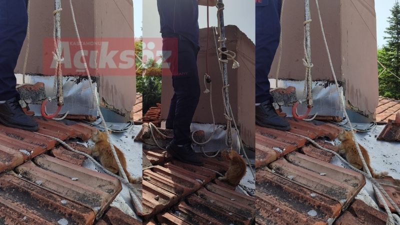 Yavru kedinin yardımına itfaiye koştu;