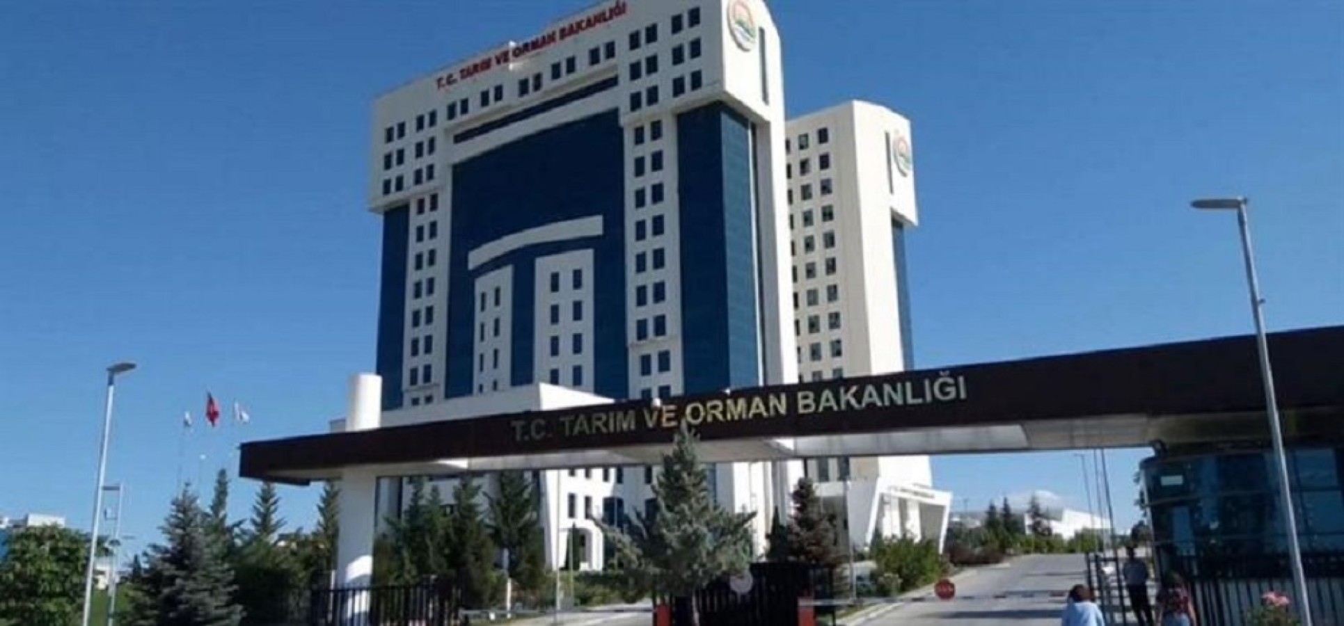 Hibe tutarı 250 bin liraya çıkarıldı;