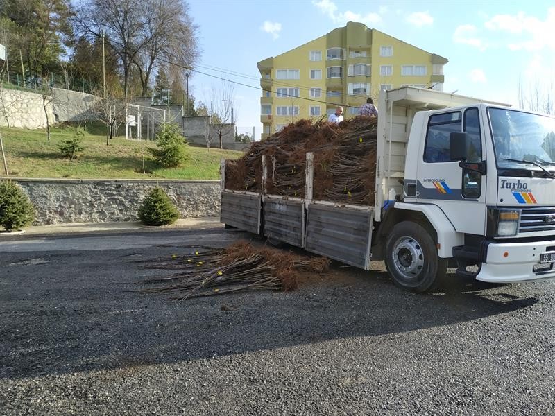 450 çiftçiye 14 bin fidan dağıtıldı;