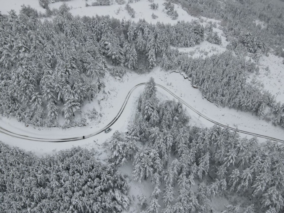 Kastamonu Ormanlarında havadan görsel şölen