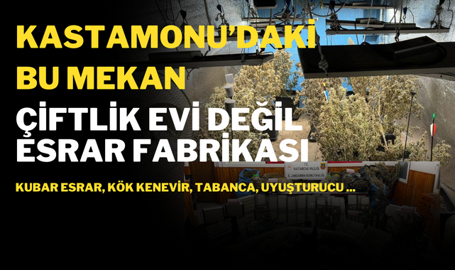 Kastamonu'daki bu çiftlik ev esrar fabrikası;