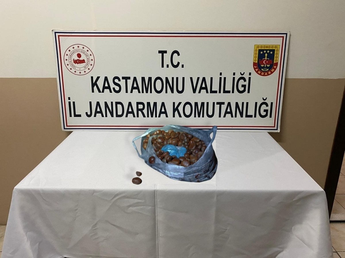 Kestane poşetinde ecstasy ile yakalanmışlardı;