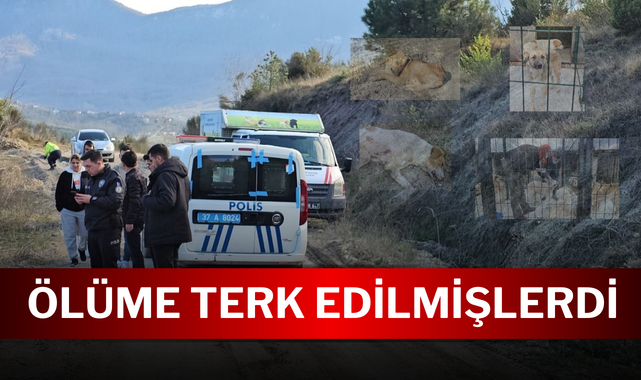 Kastamonu'daki vicdansızlığın izleri siliniyor!;