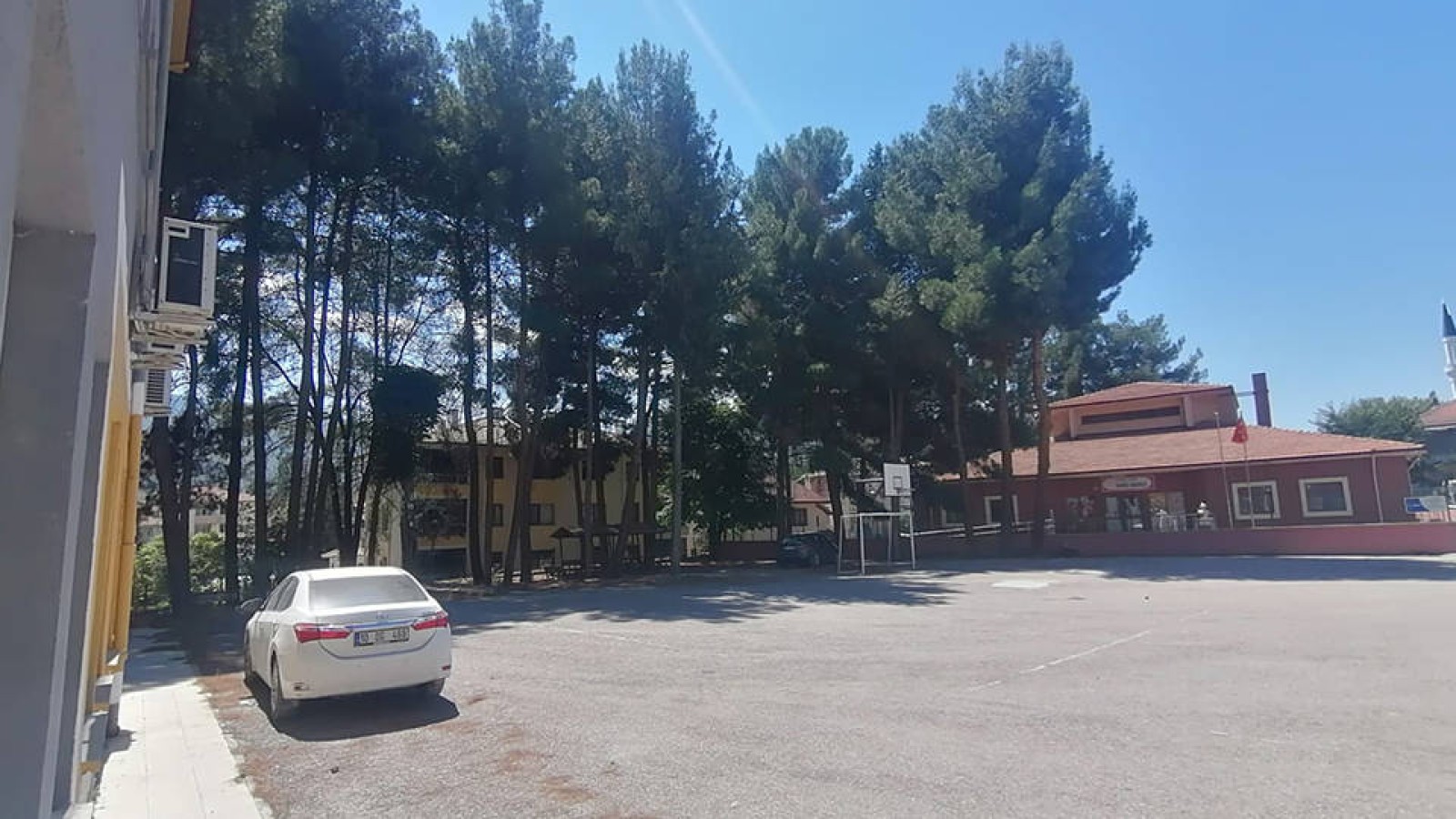 Okul bahçesindeki ağaçlar satışa çıktı!;