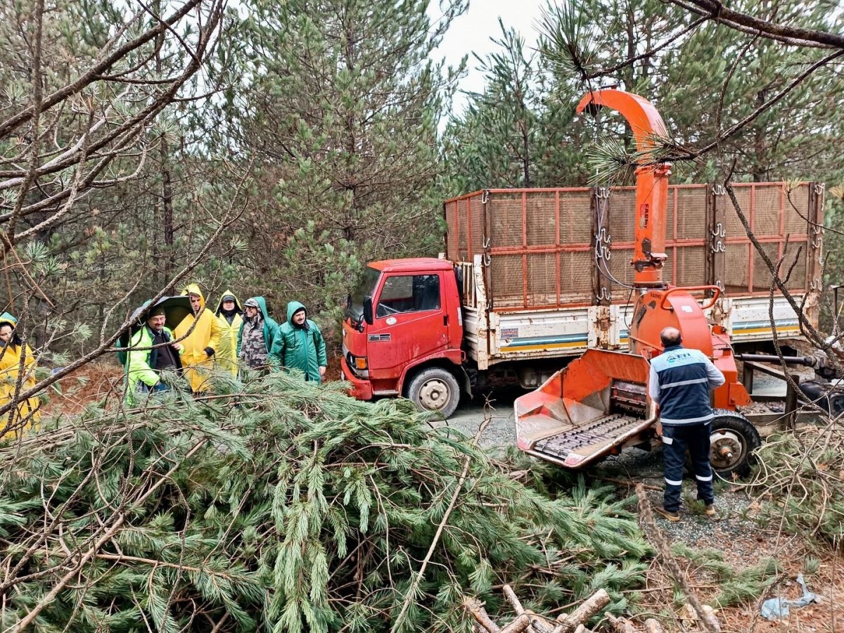 Kastamonu'da orman yangınlarıyla stratejik mücadele;