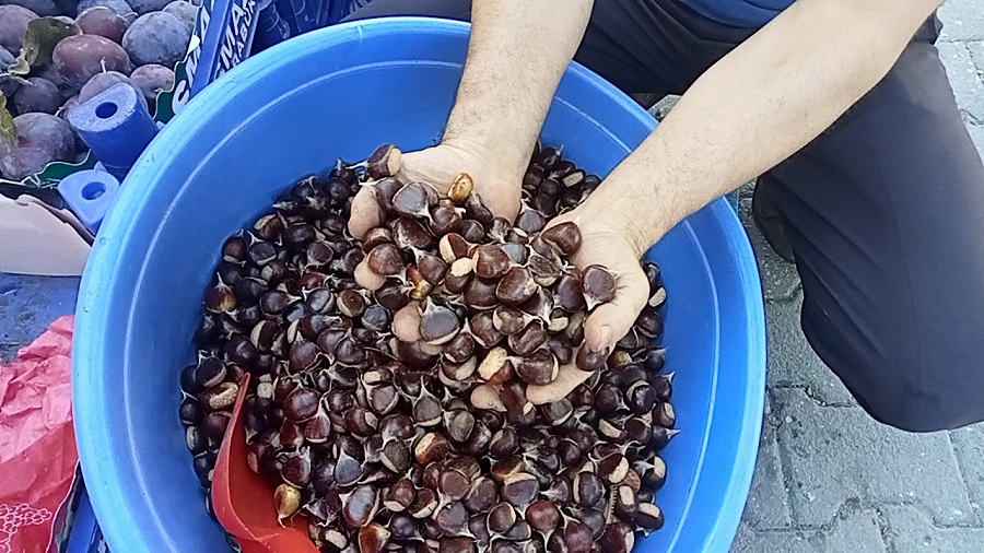 Kestane 15 liraya kadar düştü;